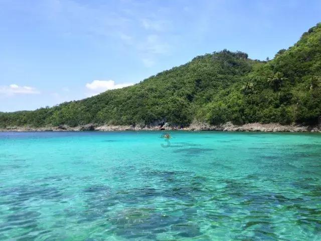 小长颈鹿逃离